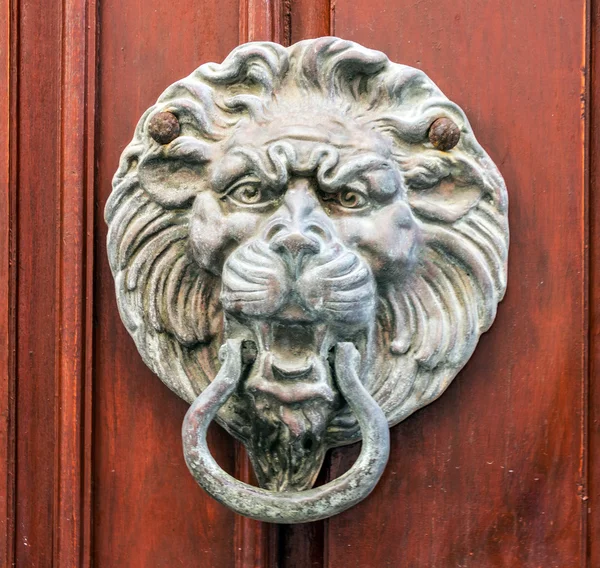 Oude deur met leeuw deur knocker. — Stockfoto