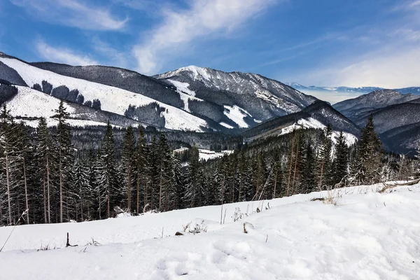 Invierno nieve, paisaje, paisaje de montaña — Foto de Stock