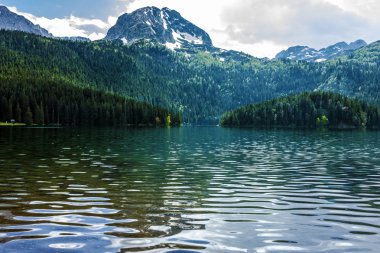 Dağ Gölü ve evergreen iğne yapraklı orman, Durmitor, Karadağ