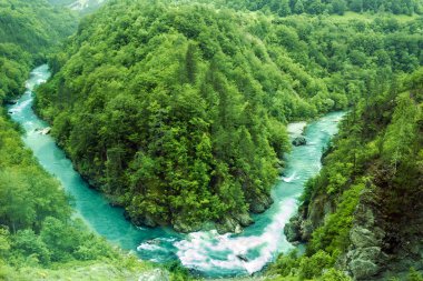 Doğal peyzaj, dağ nehir Tara, Karadağ.