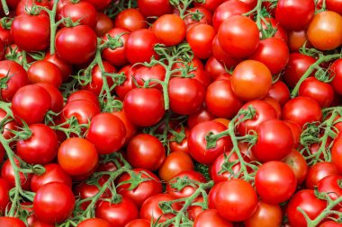 kırmızı taze domates 