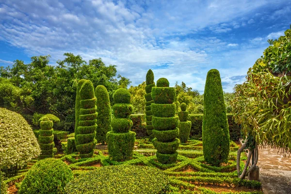 葡萄牙马德拉岛丰沙尔，植物园蒙特 — 图库照片