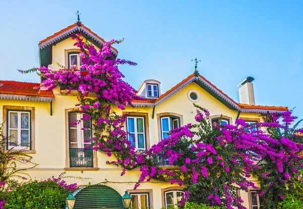 Casa de campo em Sintra, Portugal — Fotografia de Stock