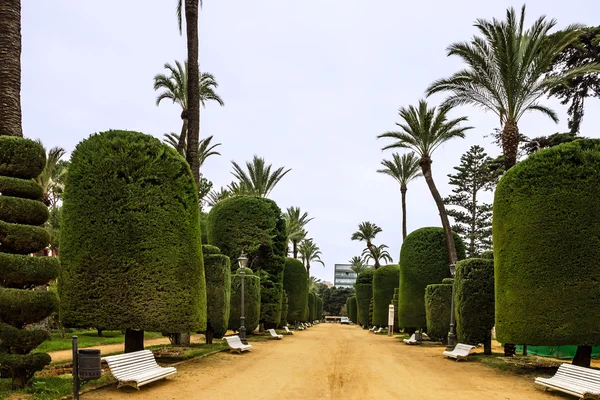 Cadiz, Spanje. Genovese groen park — Stockfoto