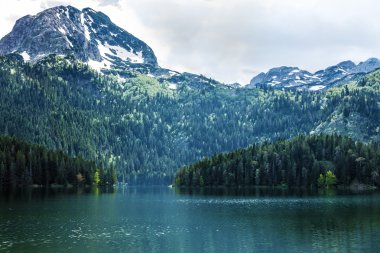 Dağ Gölü ve evergreen iğne yapraklı orman, Durmitor, Karadağ