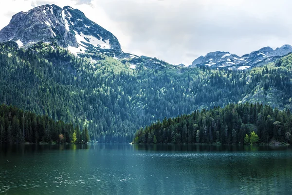 Montanha lago e floresta conífera sempre verde, Durmitor, Montenegro — Fotografia de Stock
