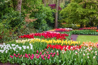 Lale Çiçek Bahçesi, Hollanda, Hollanda