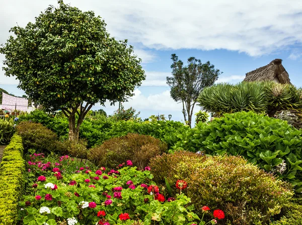 Land, Insel Madeira, Portugal, ländliche Landschaft, Dorf — Stockfoto