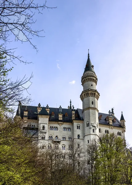 Château Neuschwanstein. Bavière, Allemagne, Palais . — Photo