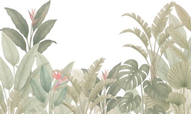 Palmiye Yaprakları Yumuşak Suluboya Biçimli Tropikal Botanik Arkaplan