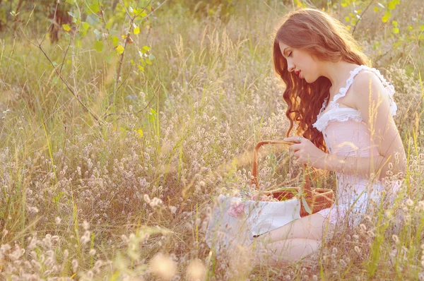 Młoda kobieta zbierania ziół w polu Zdjęcia Stockowe bez tantiem
