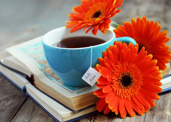 A cup of tea with gerbera flowers and books — Stock Photo, Image