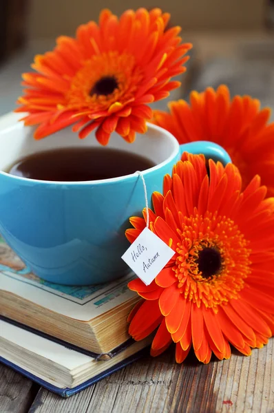 Чашка чая с цветами герберы и книгами — стоковое фото