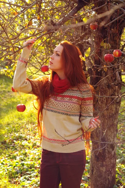 Young redheaded woman with long straight hair in the apple garde — Stock Photo, Image