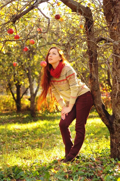 Young redheaded woman with long straight hair in the apple garde — Stock Photo, Image
