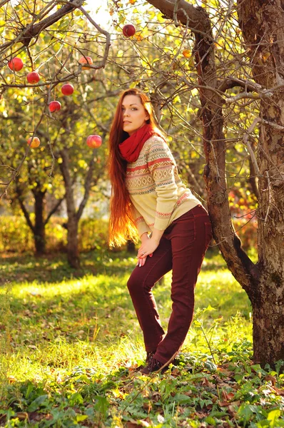 Young redheaded woman with long straight hair in the apple garde — Stock Photo, Image