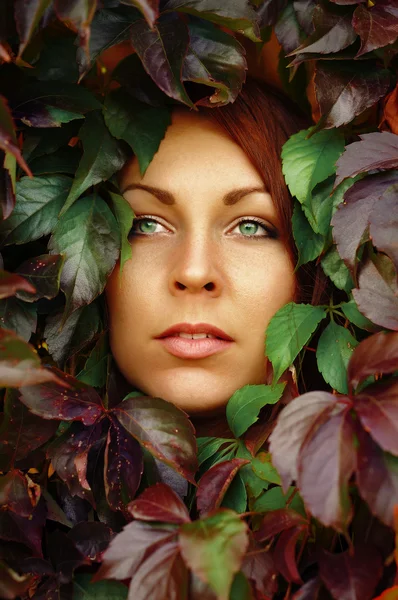 Rosto de mulher ruiva bonita em folhas — Fotografia de Stock