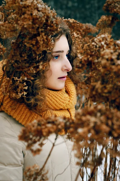 Atractiva mujer joven con el pelo rizado cerca de flujo de hortensias secas Fotos de stock