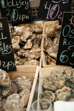 İstiridye pazarda bir dükkanı ekranda 