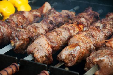 Barbekü et şiş üzerinde