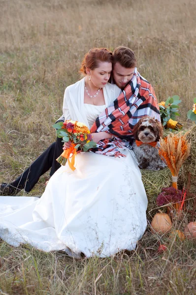 Novia y novio junto con su perrito. Otoño romántico — Foto de Stock