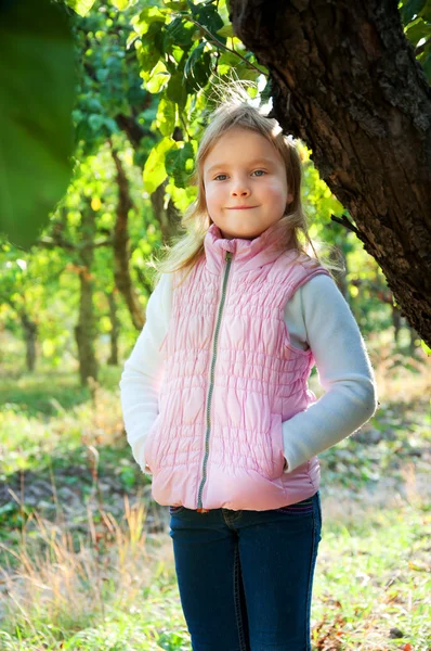 Schattig klein meisje in de herfst outft in een appelboomgaard — Stockfoto