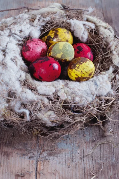 Natural quail eggs in the nest — Stock Photo, Image