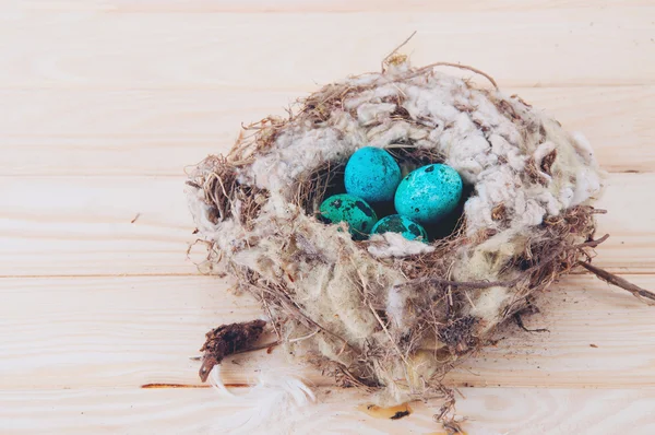 Quail eggs in the nest — Stock Photo, Image