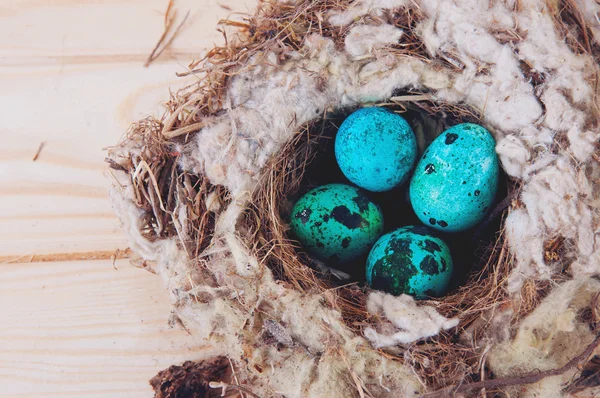 Quail eggs in the nest — Stock Photo, Image
