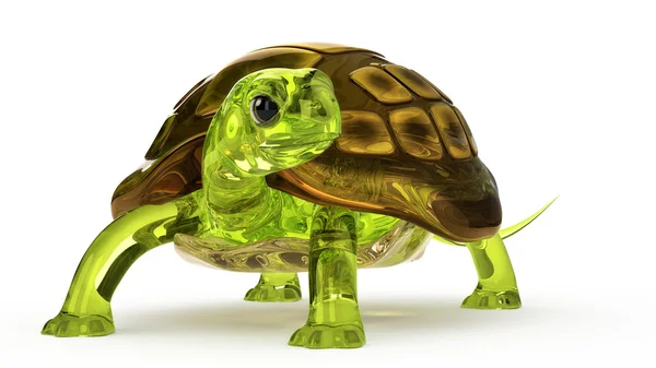 Niedliche grüne Glasschildkröte — Stockfoto