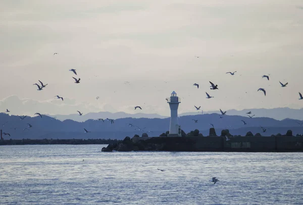 カモメの群れが飛び立つ釧路港の白い灯台の風景 — ストック写真