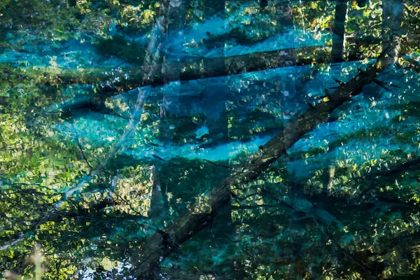 Scenario Kaminokoike Uno Stagno Famoso Sua Acqua Limpida Fondo Blu — Foto Stock