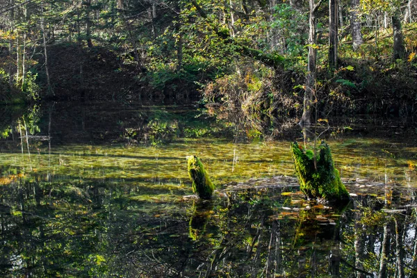 Vacker Och Mystisk Damm Kaminokoike Omgiven Naturen Och Grönska Hokkaido — Stockfoto