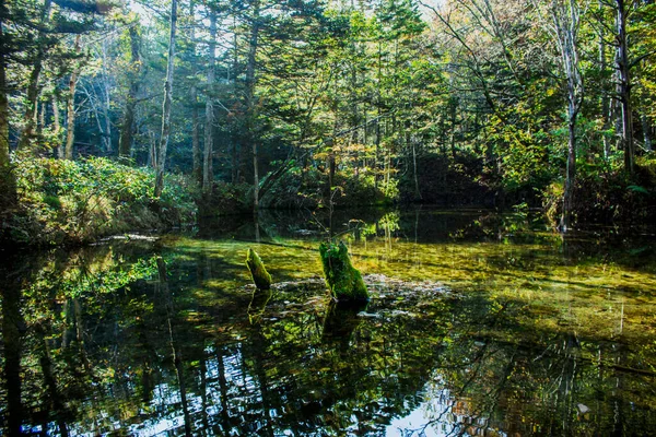 Beautiful Mysterious Pond Kaminokoike Surrounded Nature Greenery Hokkaido — Stock Photo, Image