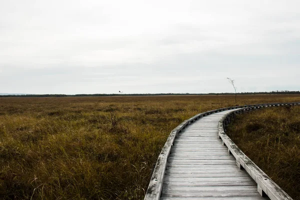 Landskap Trästig Där Kan Vandra Kushiro Våtmarker — Stockfoto