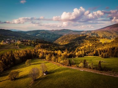 Beskid Zywiecki 'deki Hala Boracza' nın engebeli tepelerinin ve dağ çayırlarının sonbahar manzarası. Güneşli ormanlar, açık otlaklar ve dolambaçlı kırsal yollar altın sonbahar sezonunda huzurlu bir kırsal alan oluşturur. Manzaralı Karpatlar