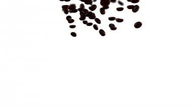 beyaz zemin üzerine düşen kahve çekirdekleri