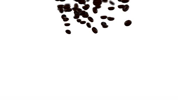 흰색 바탕에 떨어지는 커피 콩 — 비디오