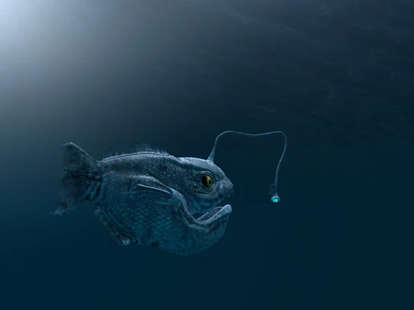 Ancient angler fish — Stock Photo, Image