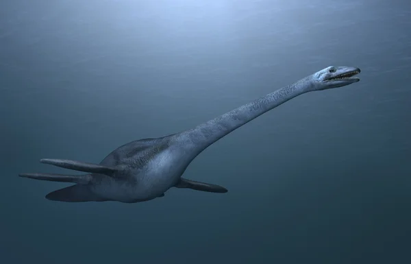 Elasmosaurus — стокове фото