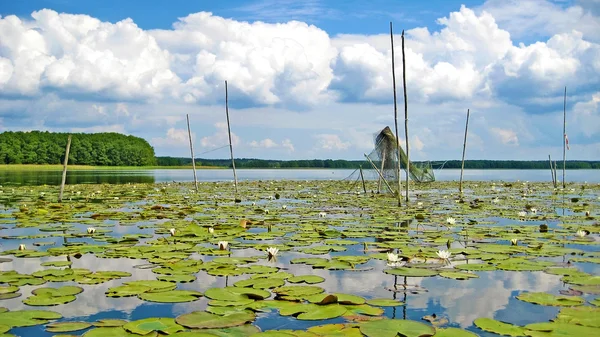 Filet de pêche au lac Mueritz — Photo