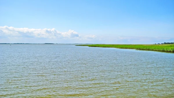 Boddenlandscape near Wustrow — Stock fotografie