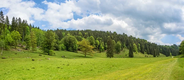 Forest panorama - Wental valley, Duitsland — Stockfoto