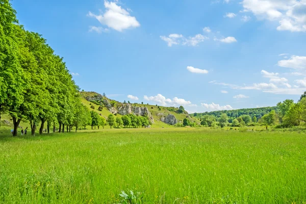 Dolina Eselsburger Tal - zielony łąka — Zdjęcie stockowe