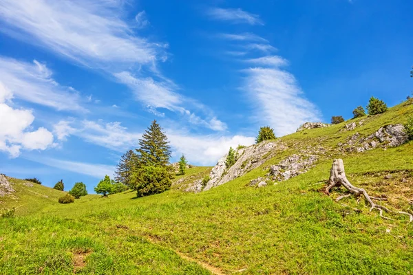 Bergen van de vallei Eselsburger Tal, Zwabische Alpen — Stockfoto