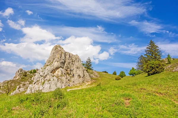 Kurtlar Vadisi Eselsburger Tal, Swabian Alp dağlarında — Stok fotoğraf