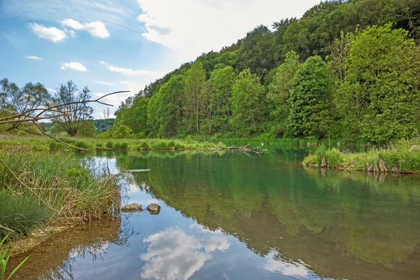 Nehir Brenz - Vadisi Eselsburger Tal — Stok fotoğraf