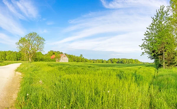 Rural landscape panorama with wheat field and barn — Stock Photo, Image