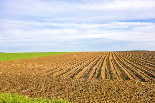 Landbouwgrond - bruin veld — Stockfoto