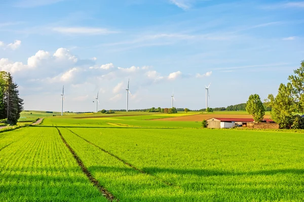 Windmolens - groene weide, field — Stockfoto